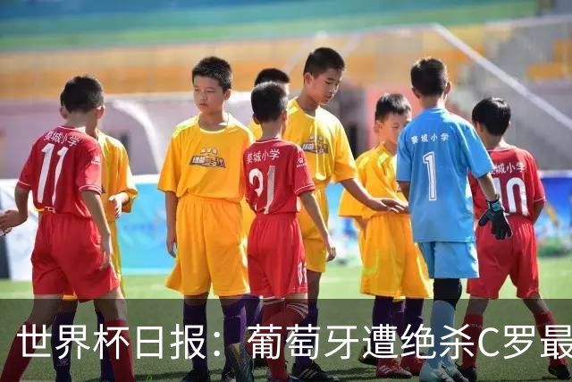 世界杯日报：葡萄牙遭绝杀C罗最后一舞 多国效仿美国上诉红黄牌