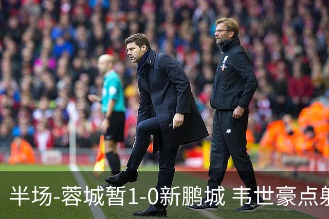 半场-蓉城暂1-0新鹏城 韦世豪点射韦林顿造点双方对抗激烈5人染黄