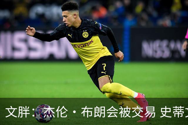 文胖：杰伦·布朗会被交易 史蒂文斯承认跟他谈过 肯定是找他有事