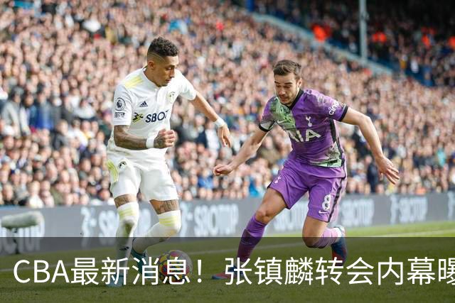 CBA最新消息！张镇麟转会内幕曝光，广东接触区俊炫，杨鸣收到北方球队报价
